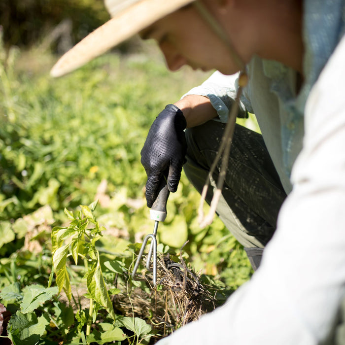 The Realities of Sustainability and Disposable Gloves