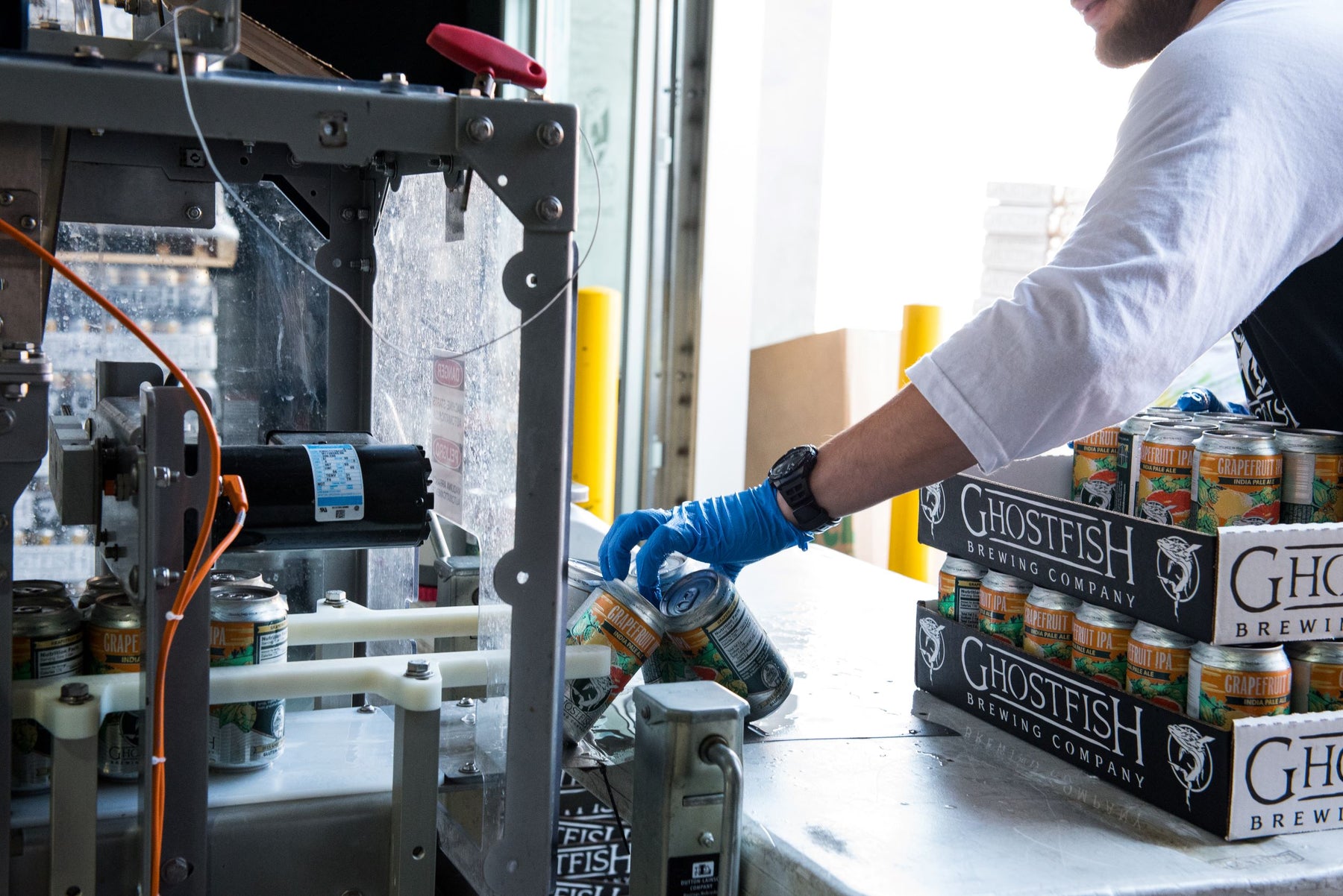 Production Costs Set Foundation for Disposable Glove Pricing