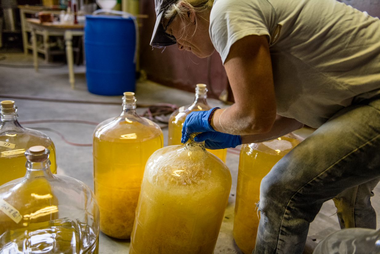 The Many Uses for Disposable Gloves in a Facility